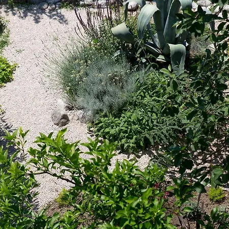 Casa Galleria Rica 3*