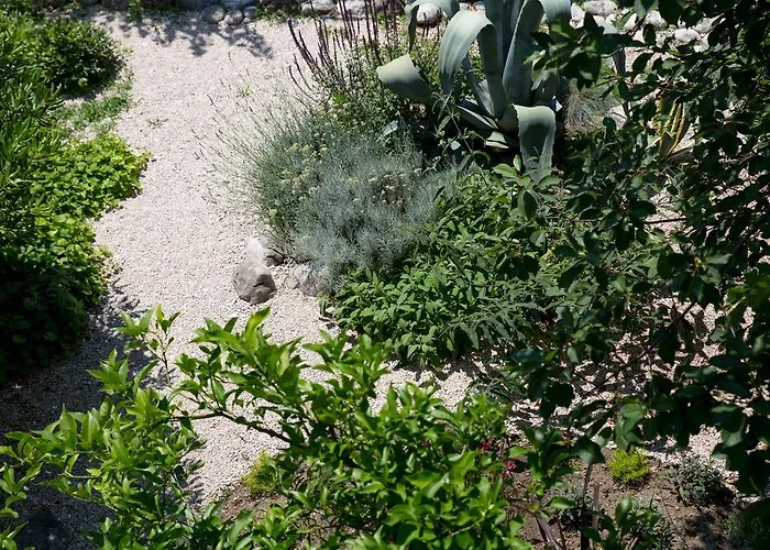 Casa Galleria Rica 3*